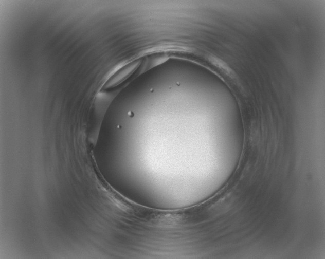 X0000054441321200508121834