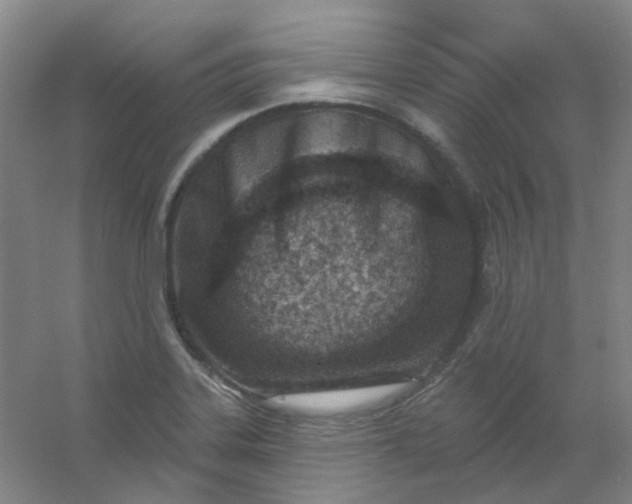 X0000054441323200508121834