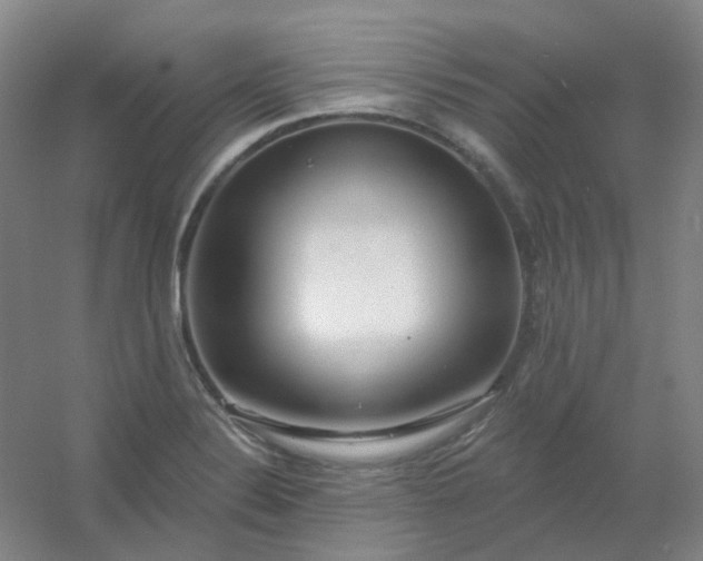 X0000054441324200508121834