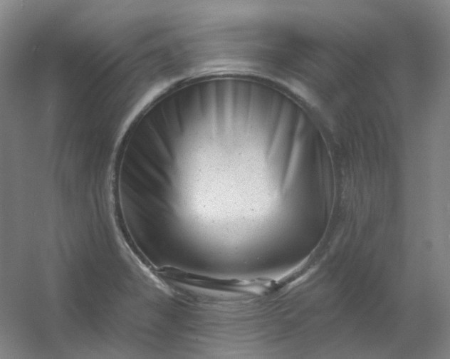 X0000054441325200508121834