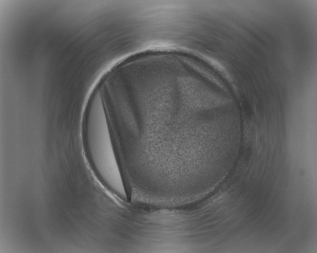 X0000054441327200508121834