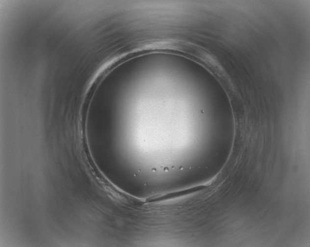 X0000054441328200508121834