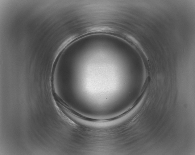 X0000054441330200508121834