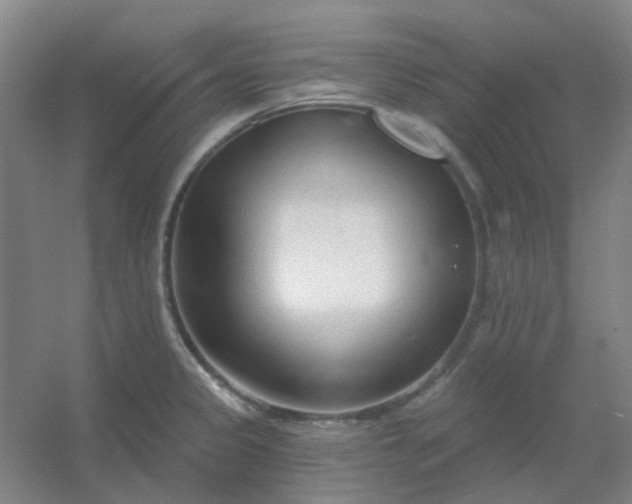 X0000054441333200508121834