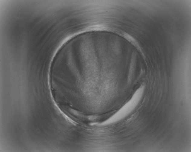 X0000054441334200508121834