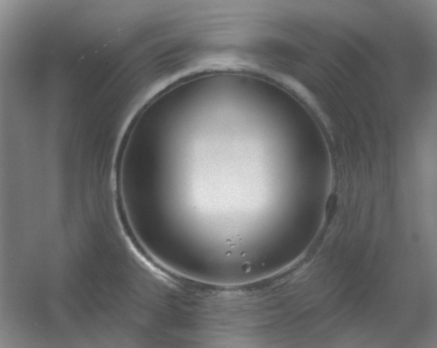 X0000054441335200508121834