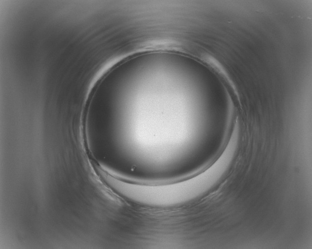 X0000054441336200508121834