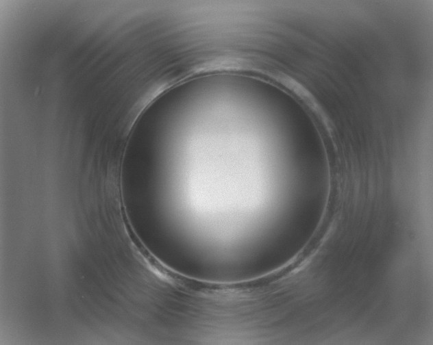 X0000054441337200508121834