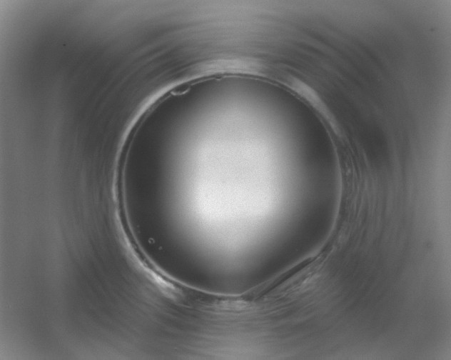 X0000054441339200508121835