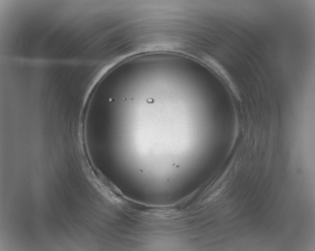 X0000054441340200508121835