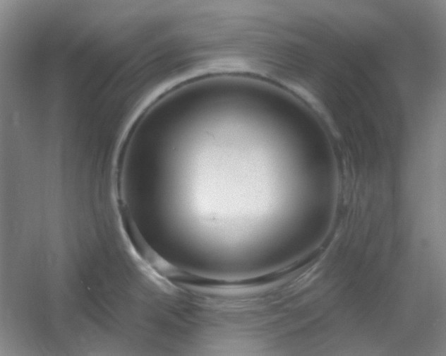 X0000054441342200508121835