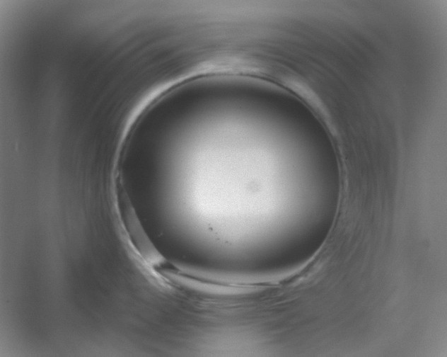 X0000054441344200508121835