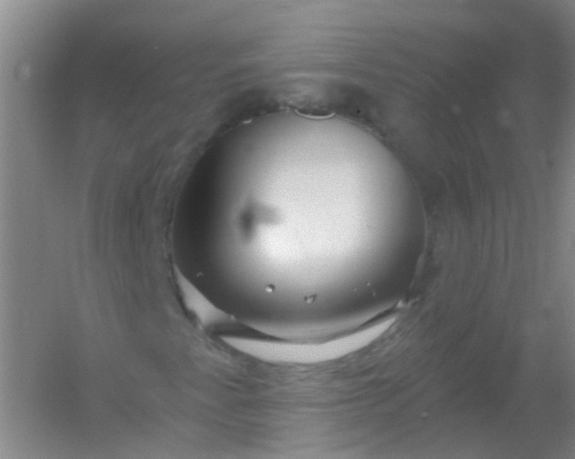 X0000054441345200508121834