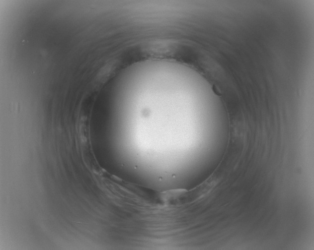 X0000054441346200508121834