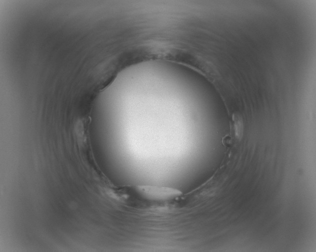 X0000054441347200508121834