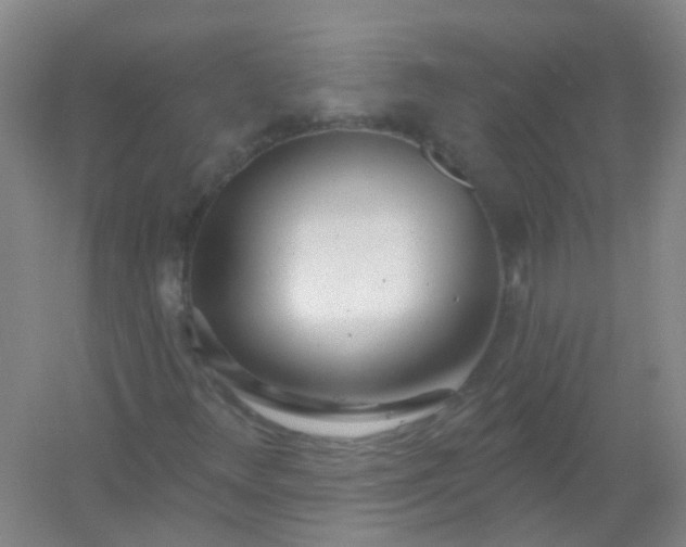 X0000054441348200508121834