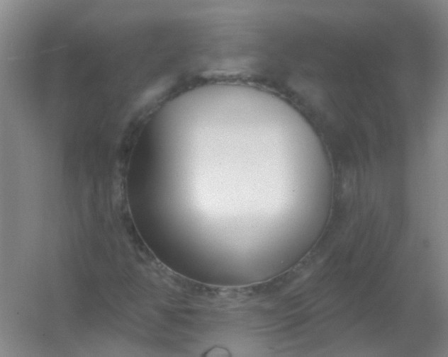 X0000054441350200508121834