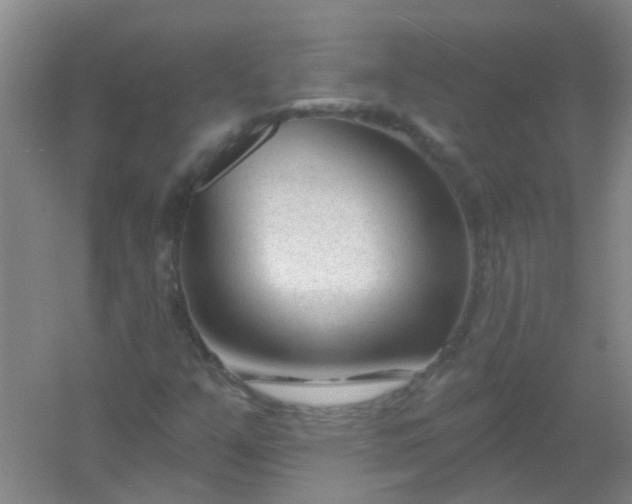 X0000054441351200508121834