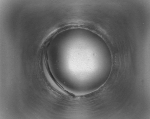 X0000054441352200508121834