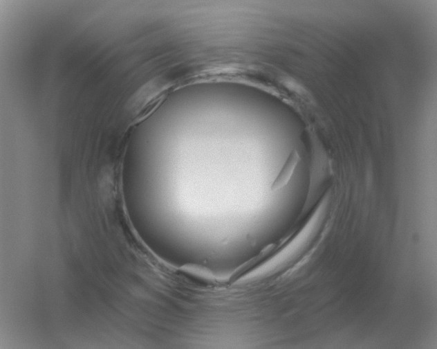 X0000054441353200508121834