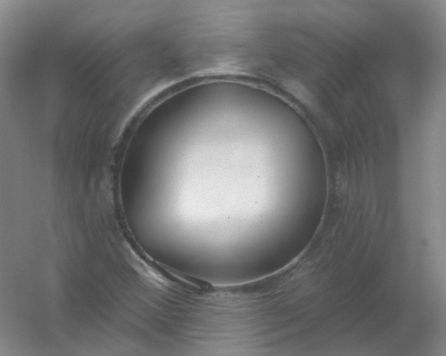 X0000054441356200508121834