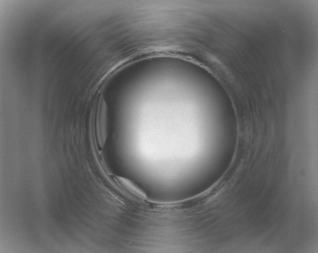 X0000054441361200508121834