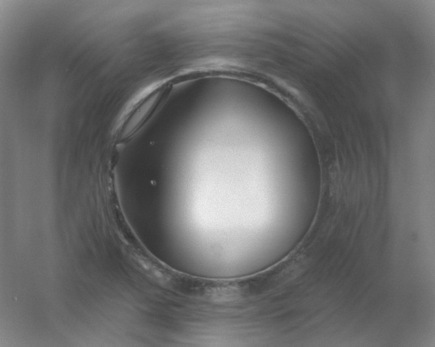 X0000054441363200508121833