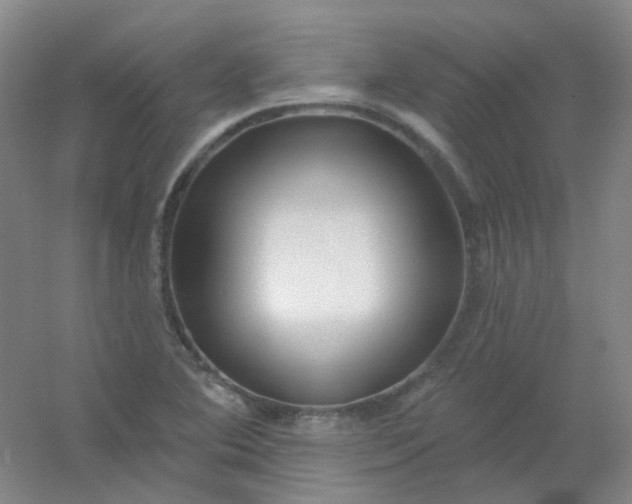 X0000054441364200508121833