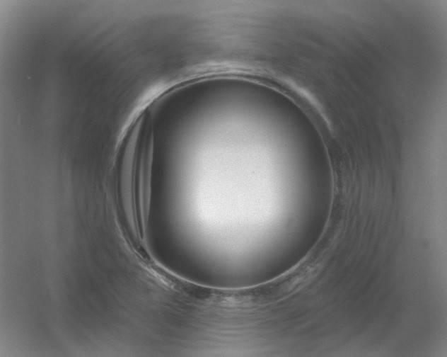 X0000054441365200508121833