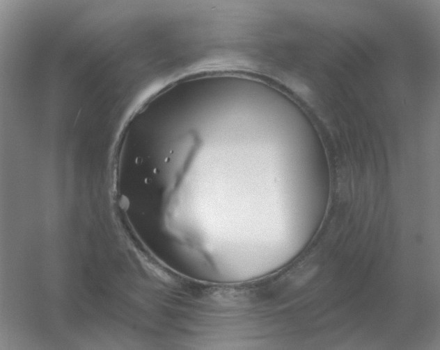 X0000054441366200508121833