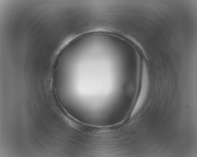 X0000054441367200508121833