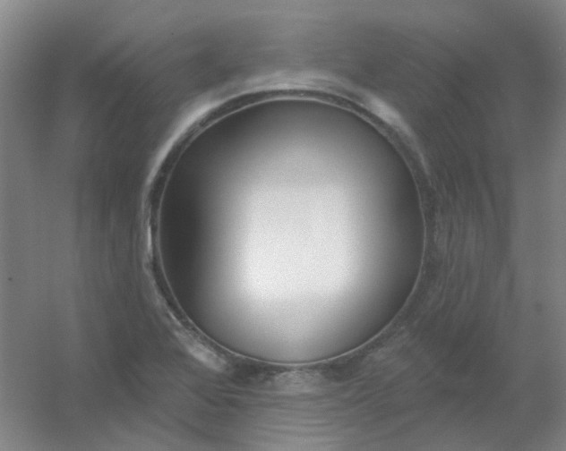 X0000054441368200508121833