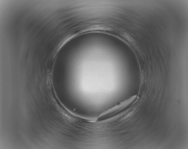 X0000054441369200508121833