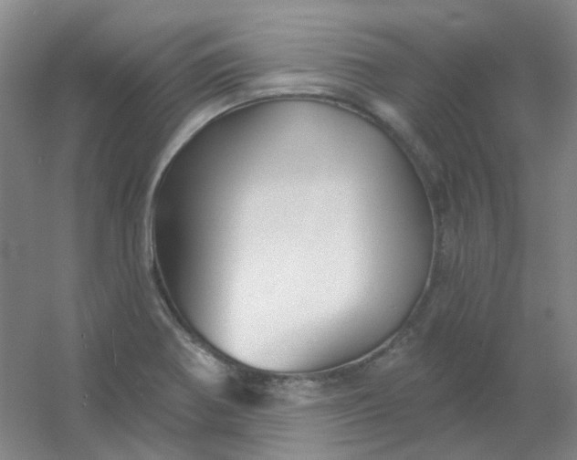 X0000054441370200508121833