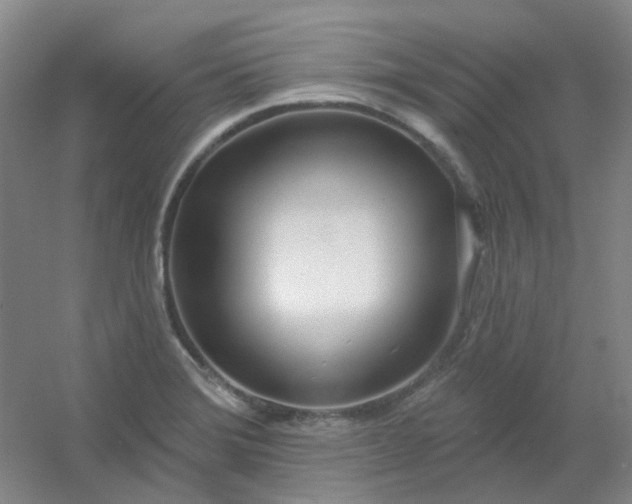 X0000054441372200508121833