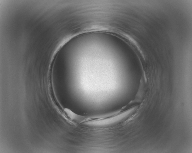 X0000054441373200508121833