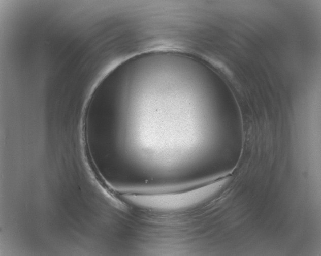 X0000054441375200508121833