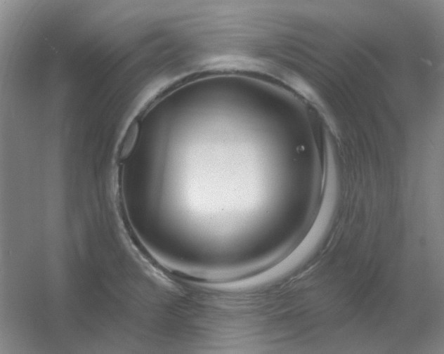 X0000054441376200508121833