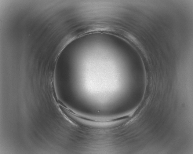 X0000054441377200508121833