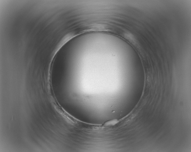 X0000054441378200508121833