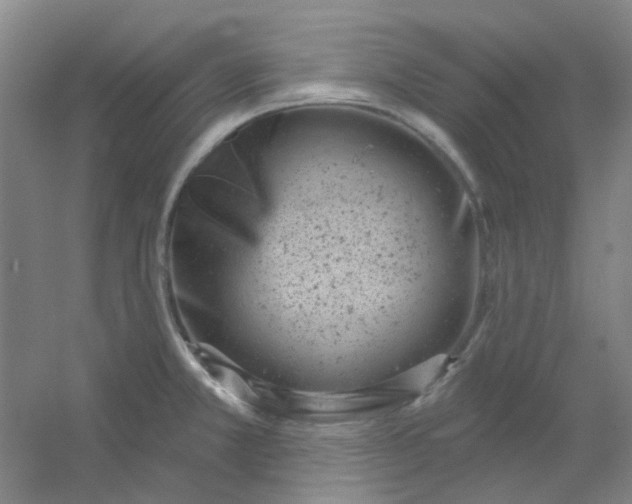 X0000054441381200508121833