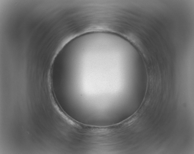 X0000054441382200508121833