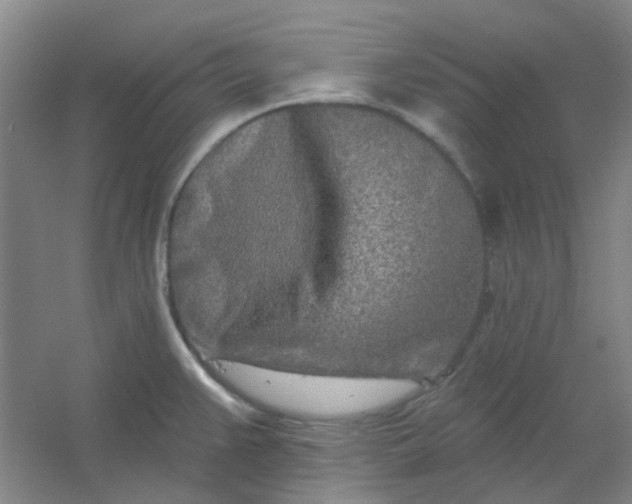 X0000054441383200508121833