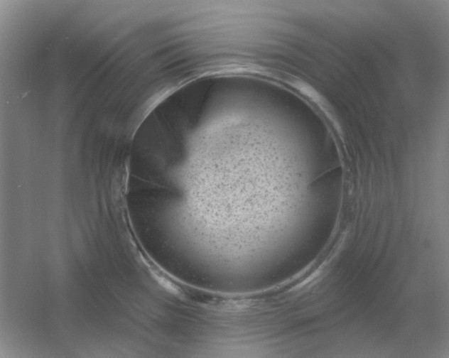 X0000054441385200508121833