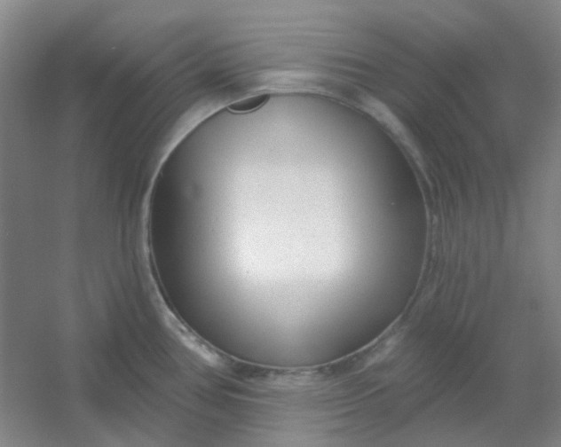 X0000054441386200508121833