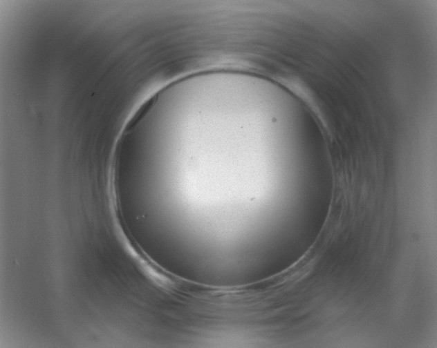 X0000054441391200508121833