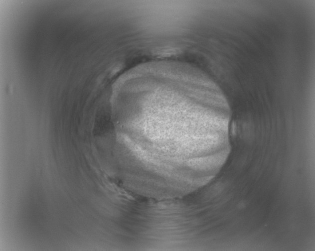 X0000054441393200508121832