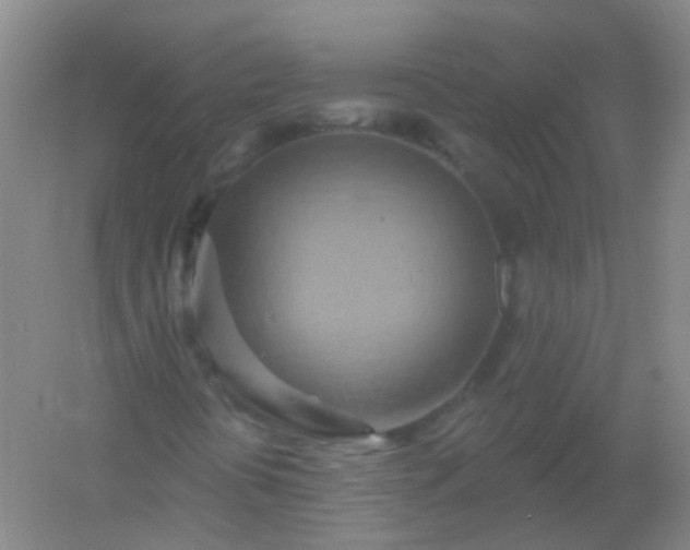 X0000054441394200508121832