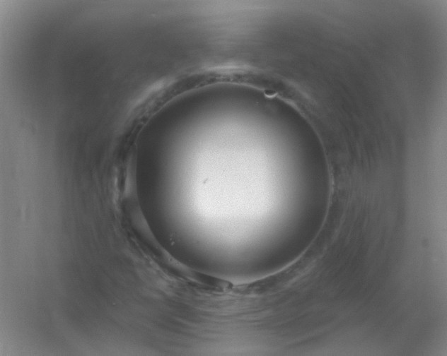 X0000054441398200508121832