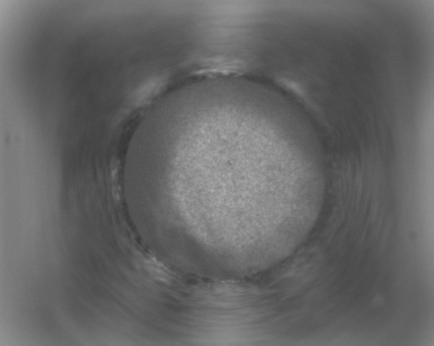 X0000054441399200508121832